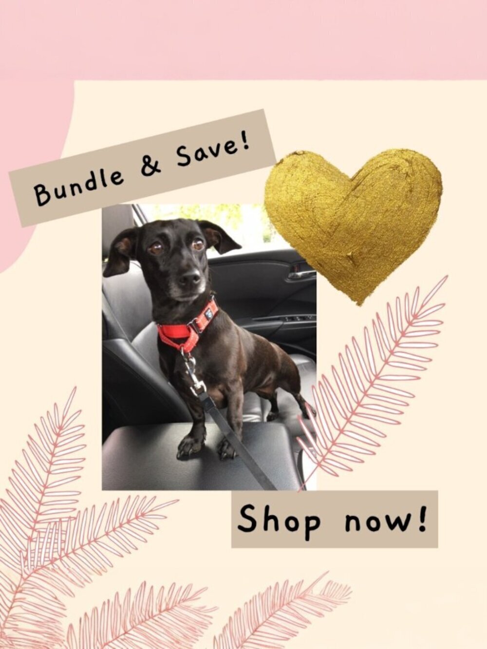 Bundle & Save | Fast Shipping - Picture 1 of 1